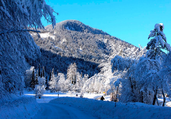 Ihre Winterwander- und Natur pur