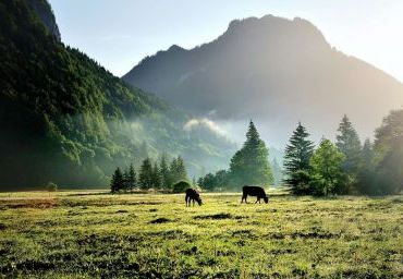 Hotelumgebung Sommereindrücke